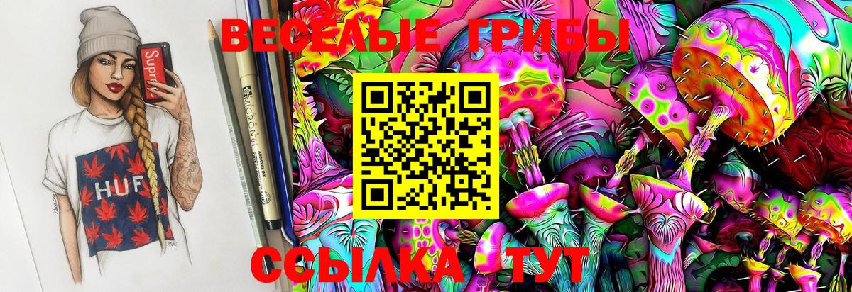 Семилуки  Псилоцибиновые грибы GOLDEN TEACHER  Вход с VPN 