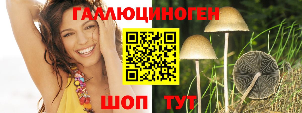 Галлюциногенные грибы прущие грибы Семилуки